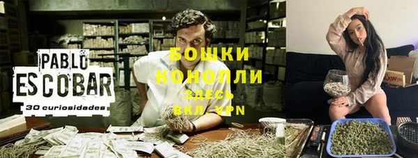 стаф Инсар