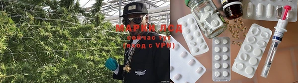 стаф Инсар