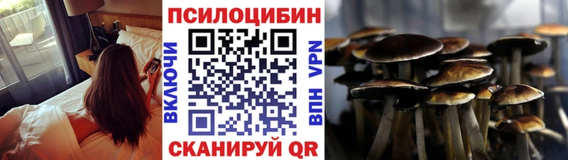 Псилоцибиновые грибы Psilocybe  Купить закладки  Соликамск 